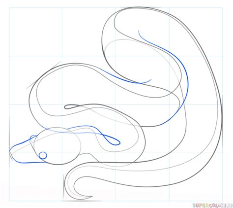 Image result for How to Draw Python