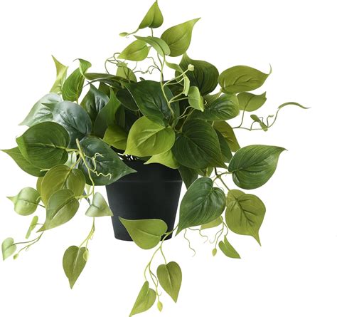Buy MARTHA&IVAN Fake Plants in Pot Fake Pothos Artificial Plants for ...