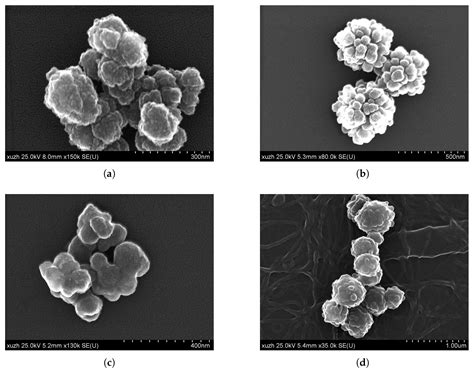 Textured and Hierarchically Constructed Polymer Micro- and Nanoparticles