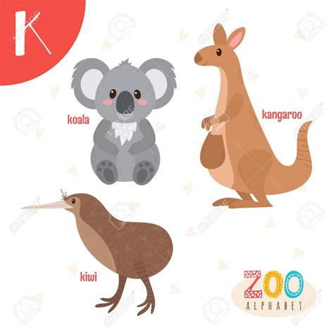 Lista de animales que comienzan con la letra K | Mascotario
