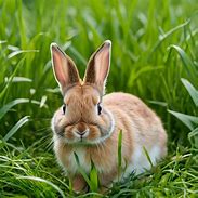 Image result for Blue Cute Bunny PNG