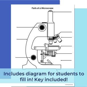Microscope Lab Activity 的图像结果