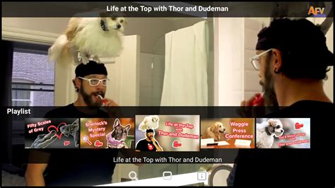 AFV Zoo Animals 的图像结果