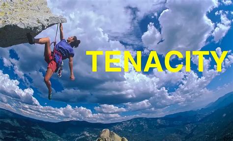Image result for Using Tenacity
