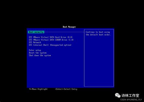 Virtual Machine Boot Loader Failed 的图像结果