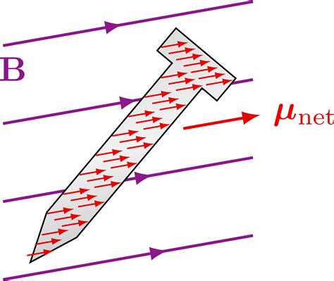 Magnetization 的图像结果