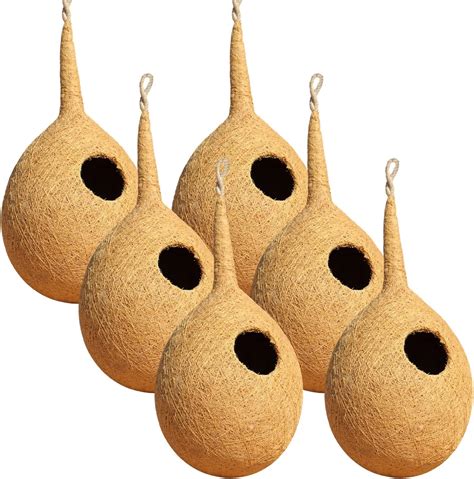 BirdShala Organic Large Round Bird Nest Set Of Six, Purely Made By Bird ...