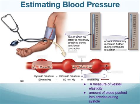 低压 的图像结果