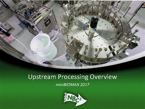 Image result for Upstream Process Overview Slide