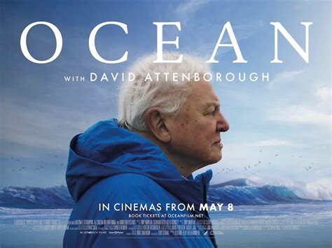 Movie Night - David Attenboroughs Oceans, Mt Eden Village, Auckland, 17 ...