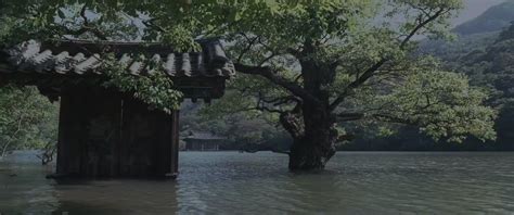 Image result for Spring Summer Fall Winter and Spring 2003