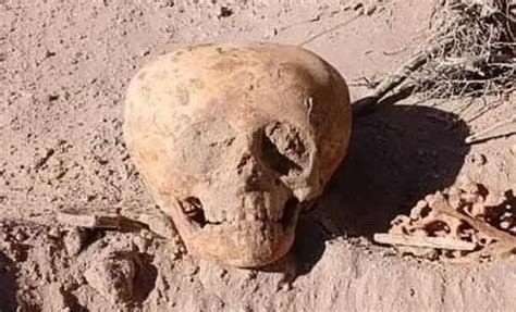 Image result for Alien Skull Found