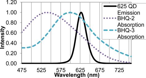 FRET-Based Quantum Dot Immunoassay for Rapid and Sensitive Detection of ...