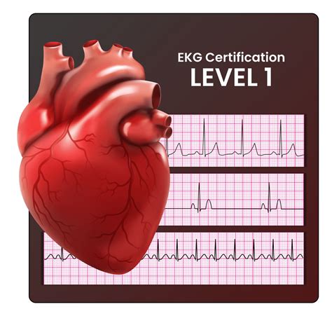 EKG Certification - Level 1 – SureFire CPR