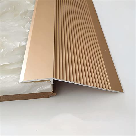 Doorway Floor Transition Strip,Wide 10cm Carpet to Tile Threshold ...