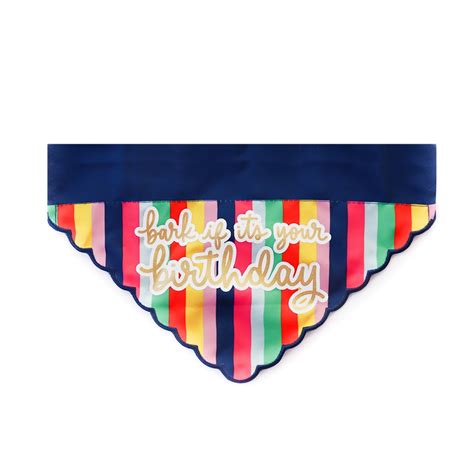 Packed Party Dog Birthday Bandana