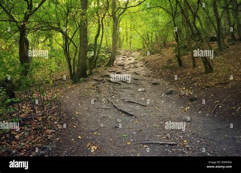 Path 的图像结果