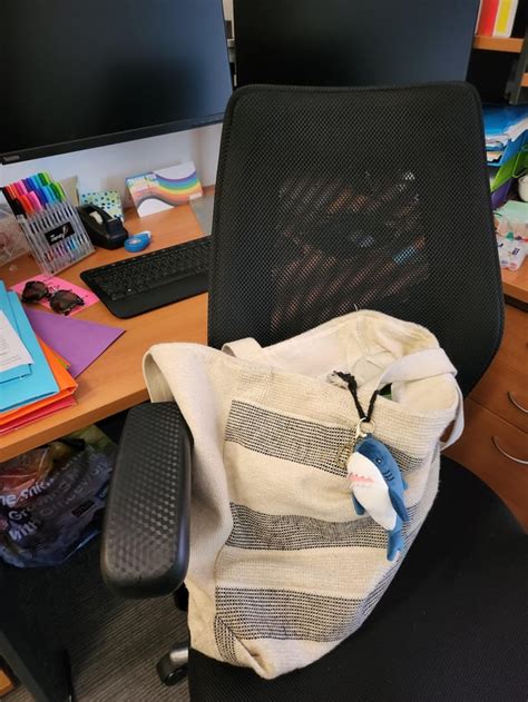 Image result for Daplancer