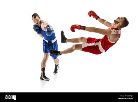 FWR Boxing Knockout 的图像结果