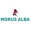 Morus Alba - Premium Korean Fashion for Women in India