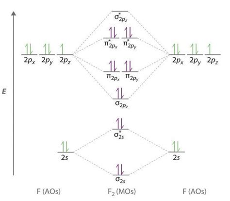 Explain the diamagnetic behaviour of [tex]F_{2}[/tex] molecular on the ...