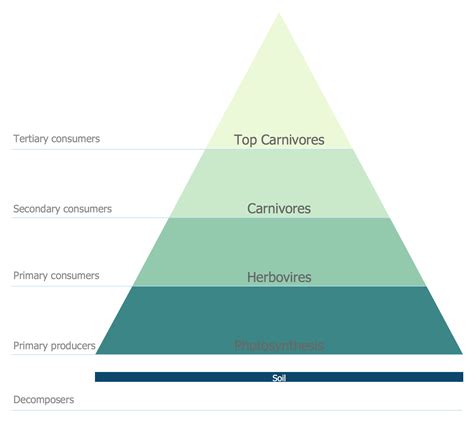 Image result for Energy Pyramid Examples