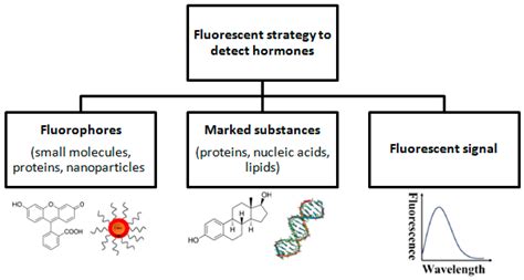 A Fluorescent Biosensors for Detection Vital Body Fluids’ Agents