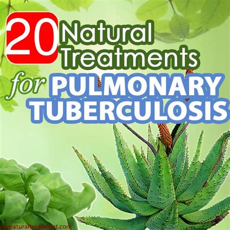 Tuberculosis Treatment Algorithm 的图像结果