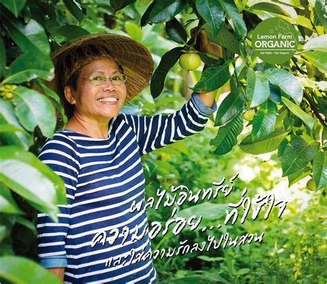 Poster Farmer – Lemon Farm Organic & Sustainable