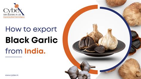 Black Garlic Exports from India 2025 – Data & Export Guide