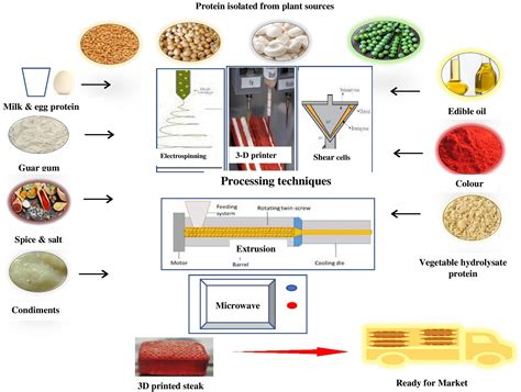 Image result for Protein Extraction Graphical Abstract