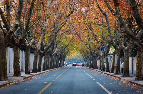https://news.cgtn.com/news/2023-03-26/Soaking-up-Shanghai-s-historical-vibes-on-Wukang-Road-1iui2YzuvWU/img/84743e77a37249e390c41f87512caddd/84743e77a37249e390c41f87512caddd.jpeg