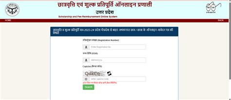 UP scholarship status 2026: Here's how students can check application status at scholarship.up ...