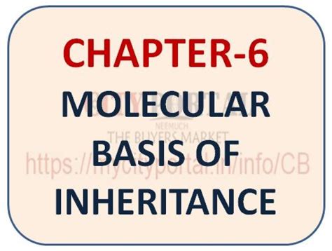 CHAPTER-6 MOLECULAR BASIS OF INHERITANCE - nEEMUCH, City portal ...