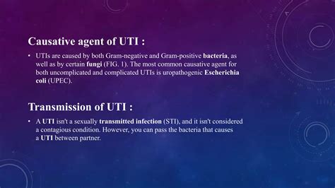 Genitourinary system | PPTX