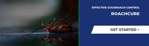 Concept Pest Management