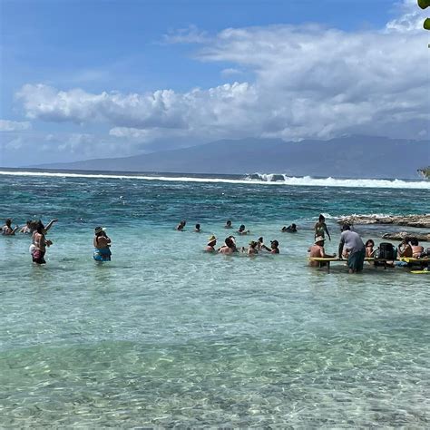 MOTU AHI (2026) All You Need to Know BEFORE You Go (w/ Reviews ...