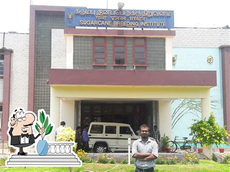 SBI- Canteen, Coimbatore - Restaurant reviews