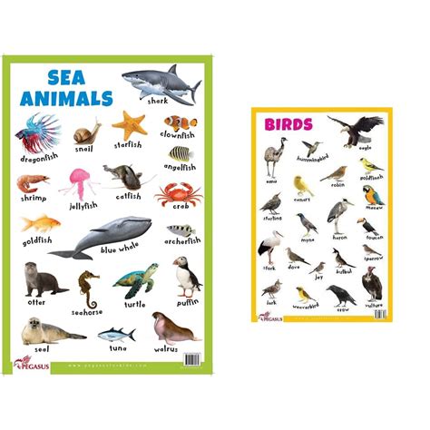 Buy Sea Animals - Thick Laminated Primary Chart+Birds - Thick Laminated ...
