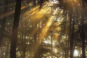 Image result for How Light Works