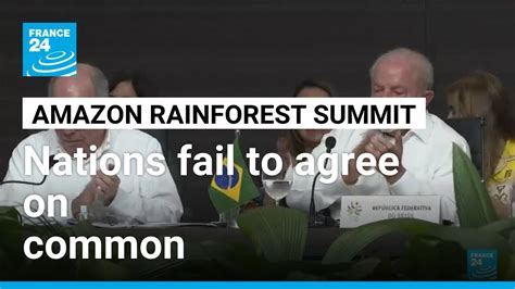 Amazon rainforest summit: Nations fail to agree on common deforestation ...