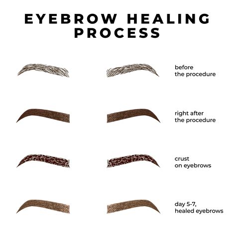 Micro Blading Process 的图像结果