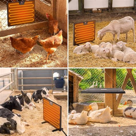 Buy Kesfitt Chicken Coop Heater,Radiant Heat Chicken Heater with ...
