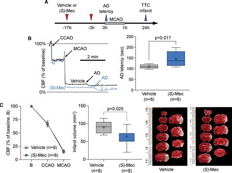 Mechanism of Action and Translational Potential of (S)-Meclizine in ...