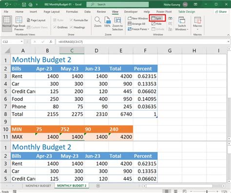 Image result for Excel Side-by-Side View