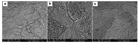 Effect of Cooling Rate on Microstructure and Mechanical Properties in ...