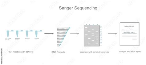 DNA Sequencing Technologies 的图像结果