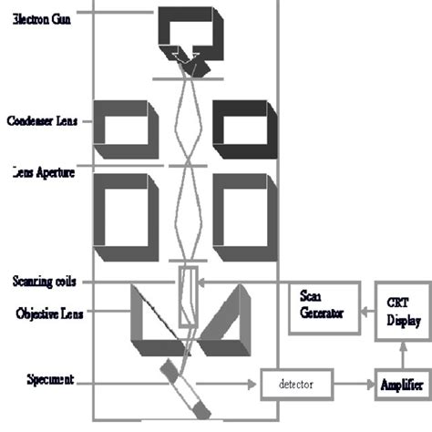 Electron Microscope Drawing 的图像结果