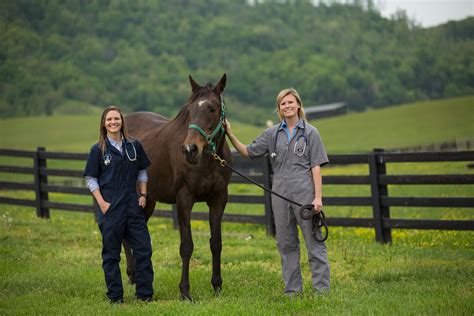 LMU debuts Equine Veterinary Education Program