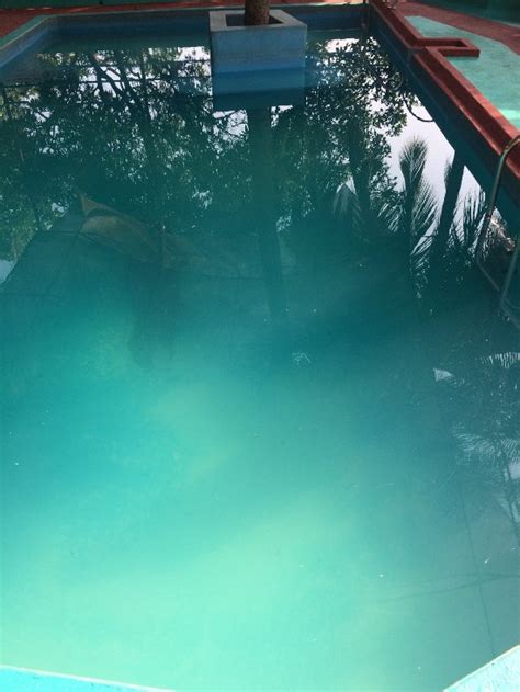 PALM GROOVE GUEST HOUSE (Goa/Chapora) - Hotel Reviews, Photos, Rate ...